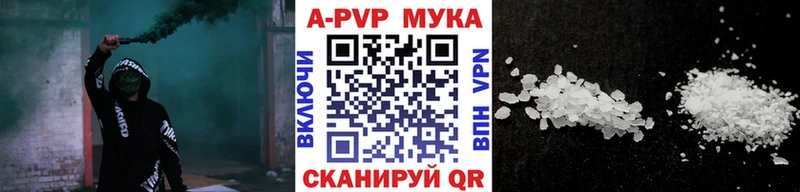 A-PVP СК КРИС  Ярославль 