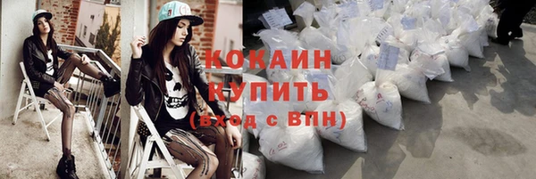 крисы Вязники