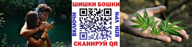 Каннабис AK-47  закладки  мега зеркало  Ярославль 